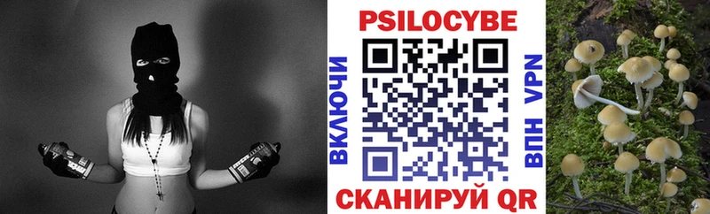 где найти наркотики  blacksprut как зайти  Галлюциногенные грибы Psilocybe  Стрежевой 